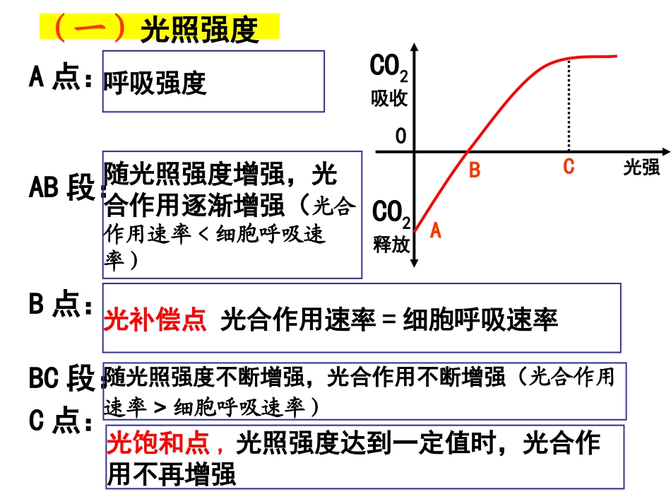 影响光合作用因素_第2页