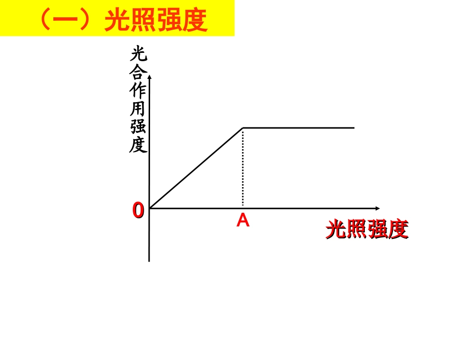 影响光合作用因素_第3页