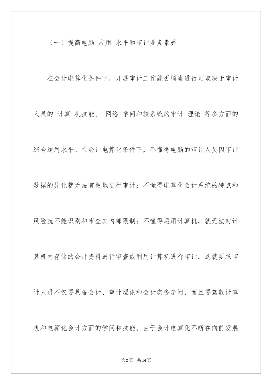 2024会计电算化条件下如何开展审计工作_第2页
