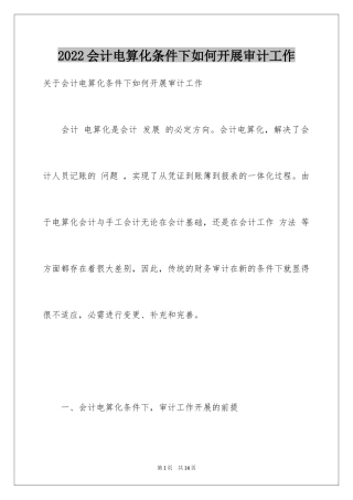 2024会计电算化条件下如何开展审计工作