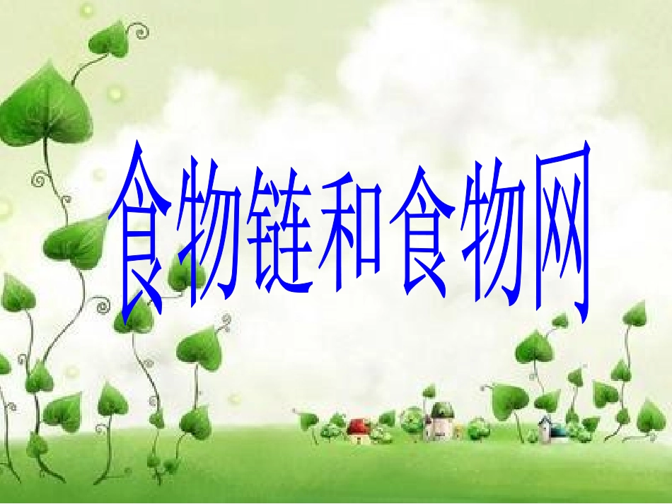 《食物链和食物网》_第1页