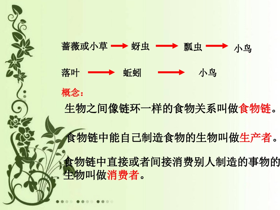 《食物链和食物网》_第3页