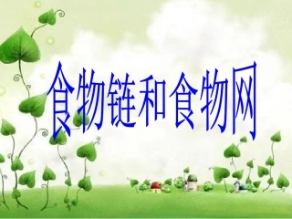 《食物链和食物网》
