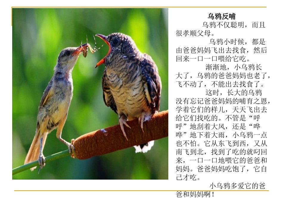 《乌鸦喝水1_第2页