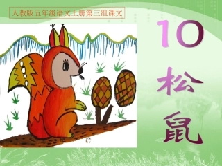 人教版五年级语文上册第三组《10松鼠》PPT课件