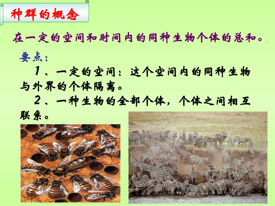 人教版教学课件高中生物人教版必修三第四章第一节：种群的特征课件2_第2页