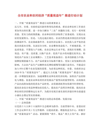 全市农业和农村经济“质量效益年”推进行动计划 
