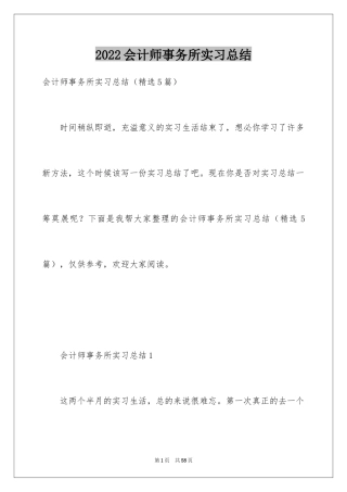 2024会计师事务所实习总结_1