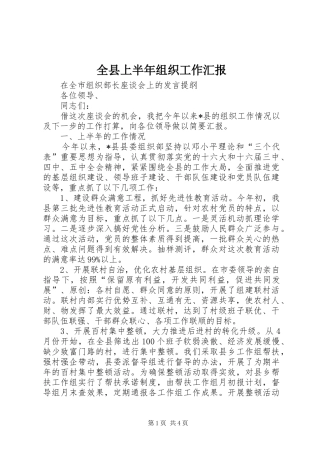 全县上半年组织工作汇报