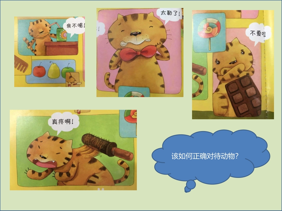 爱护动物课件_第2页