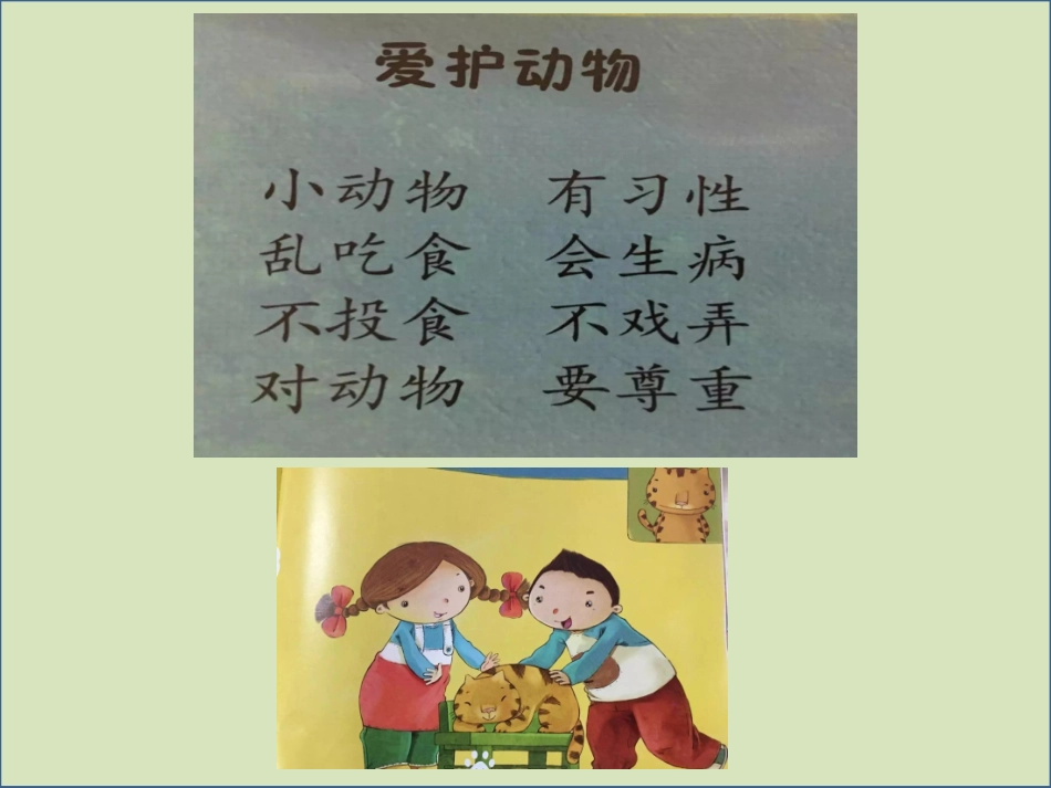 爱护动物课件_第3页