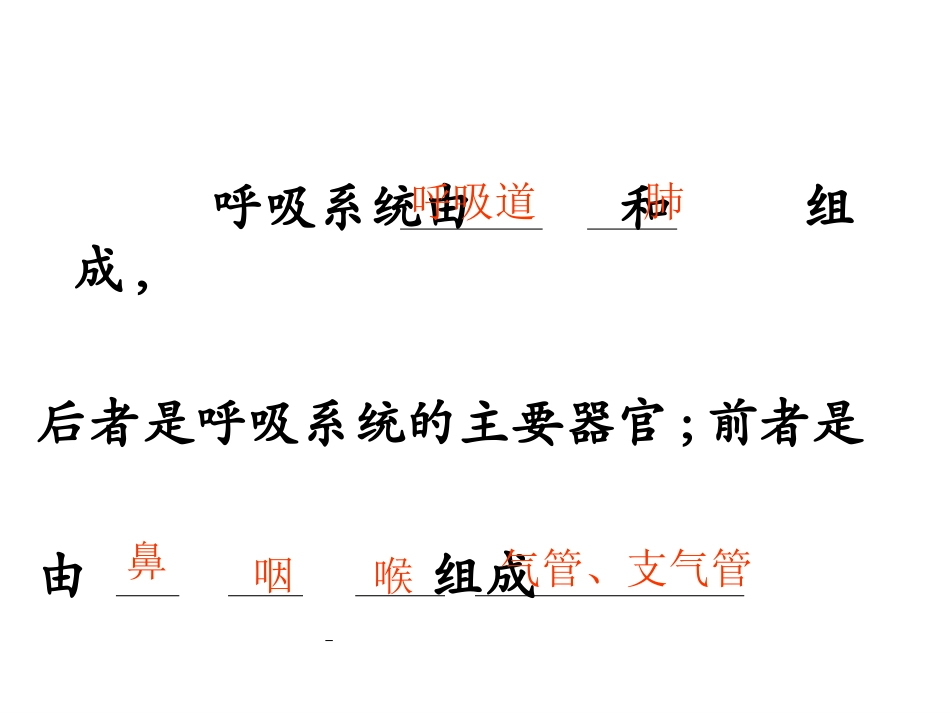呼吸道对空气的处理_第3页