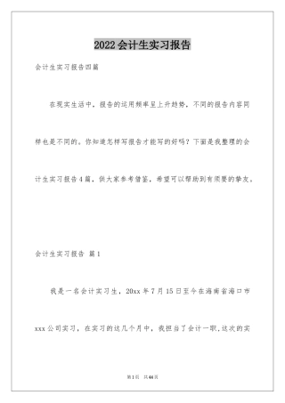 2024会计生实习报告_35