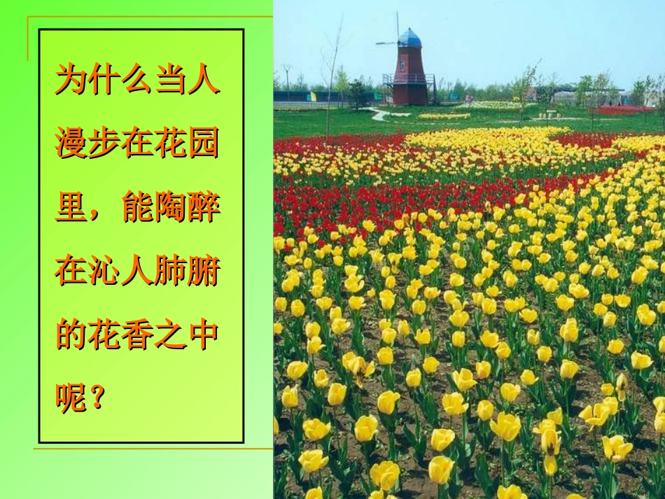 课题1分子和原子 (2)_第3页