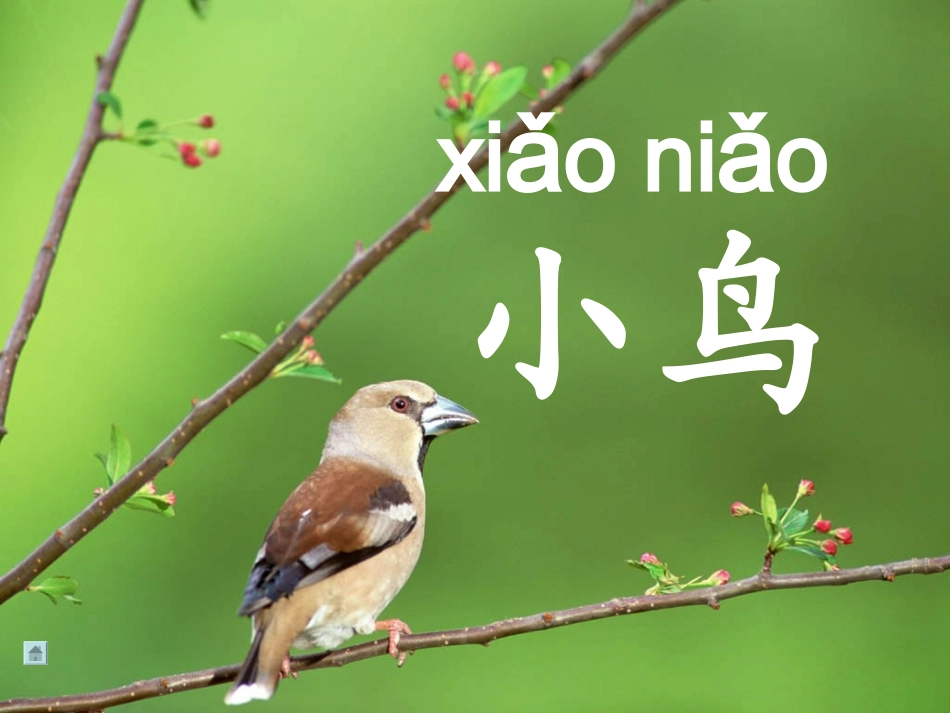 识字二1比一比_第3页