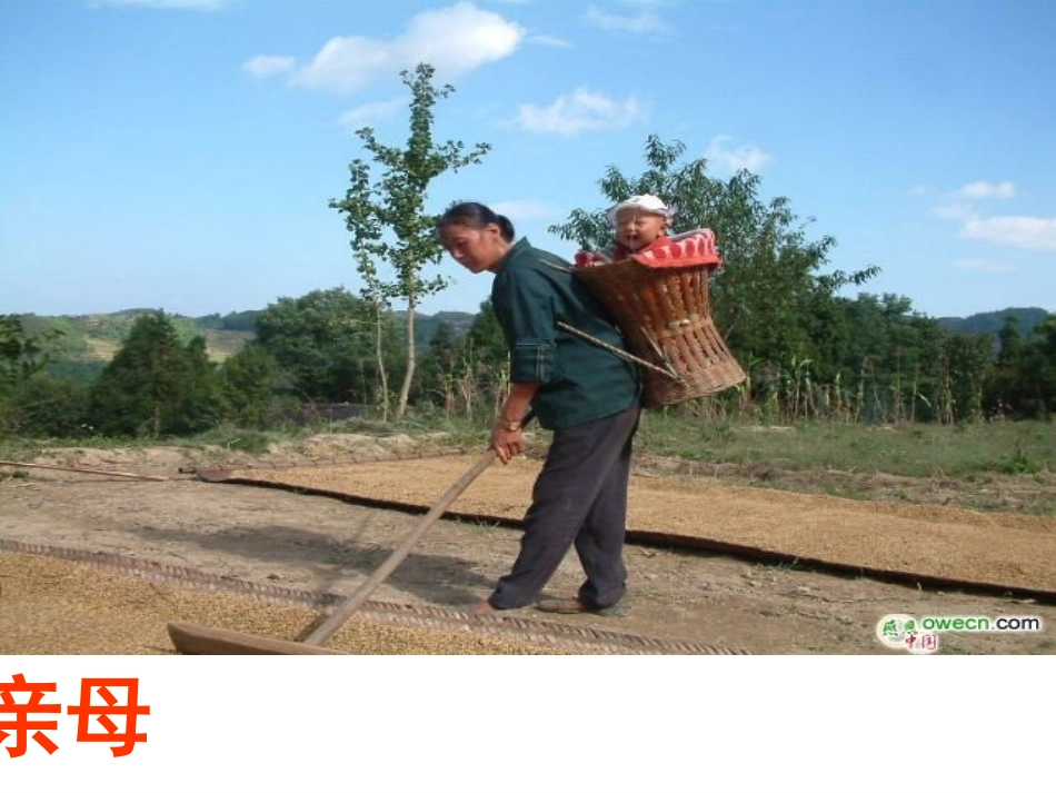 小学主题班会课件：三八妇女节(母亲节)_第3页