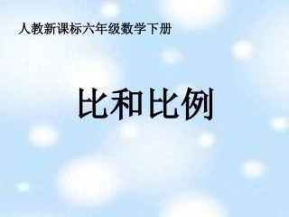 《比和比例》