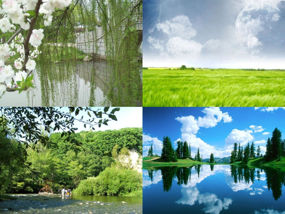 《为什么》课件(湘教版三年级上册语文课件)_(20(1)_第2页