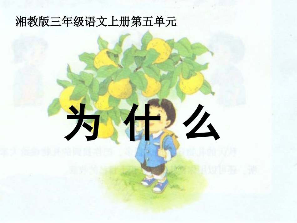 《为什么》课件(湘教版三年级上册语文课件)_(20(1)_第3页