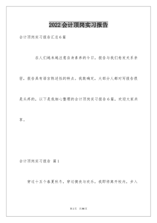 2024会计顶岗实习报告_26