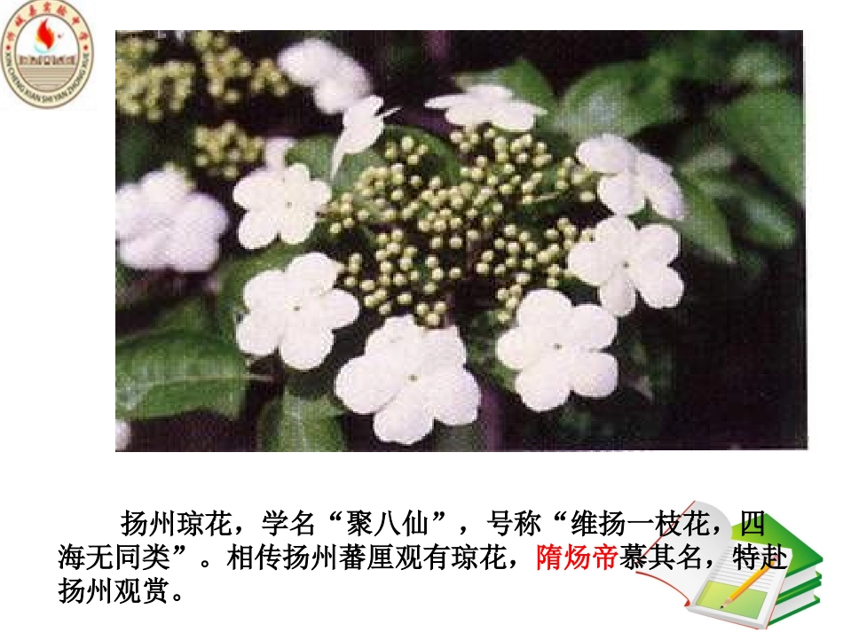 第1课繁盛一时的隋朝_第1页