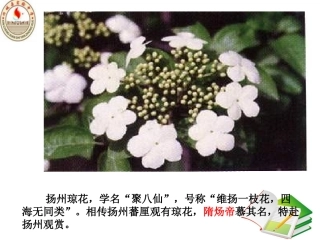 第1课繁盛一时的隋朝