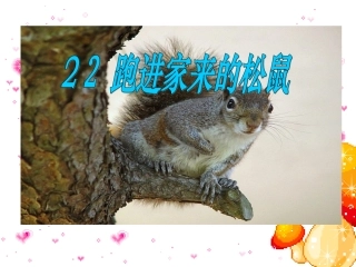 《跑进家来的松鼠》