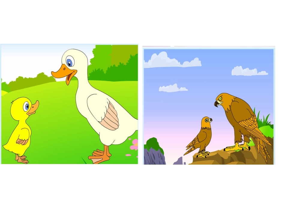 _一次比一次有进步_第1页