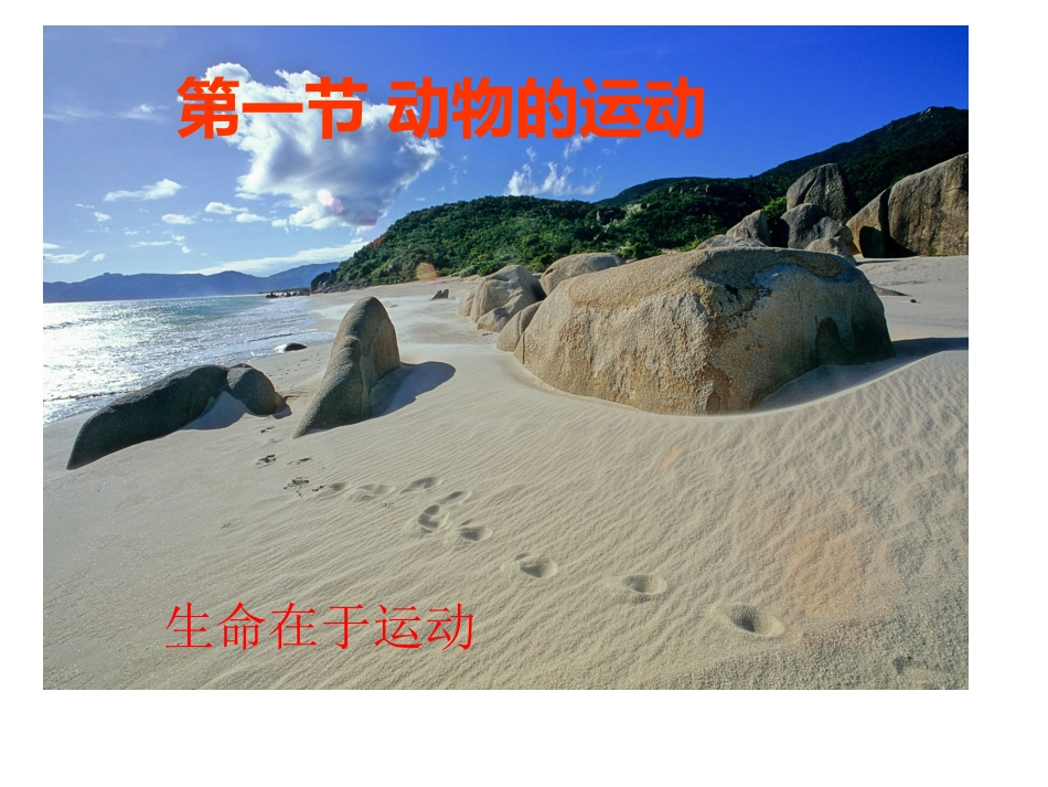 人教版八年级生物上册教学课件《第五单元第二章第一节动物的运动》（共28张）_第1页