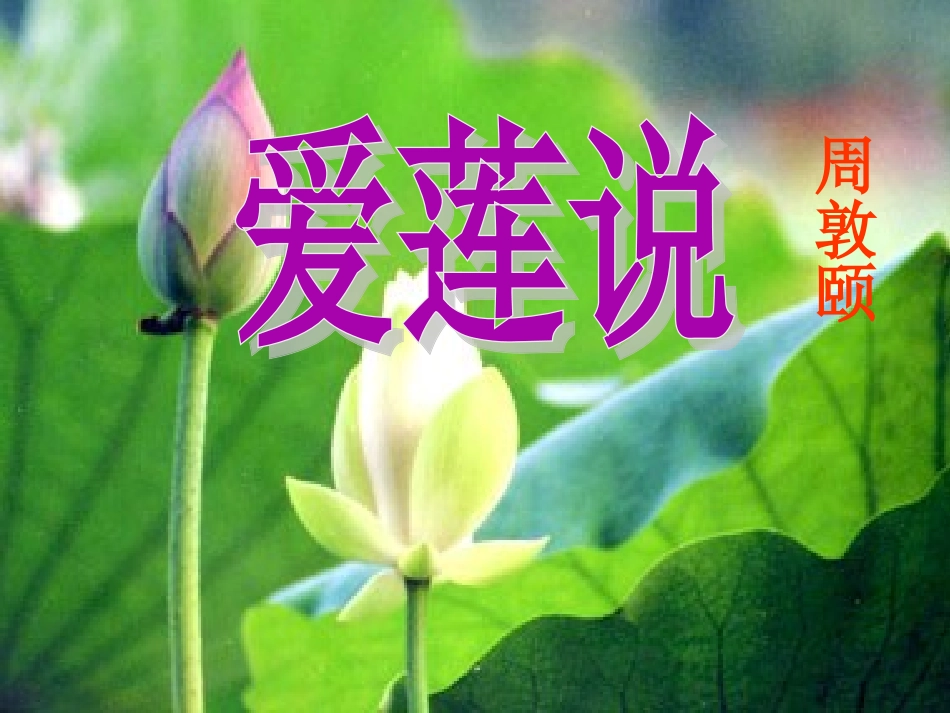 短文两篇之爱莲说_第3页