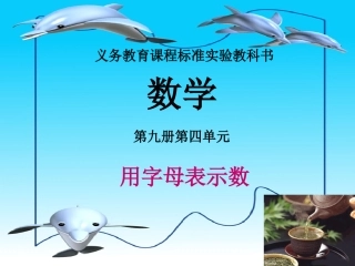 用字母表示数 (6)