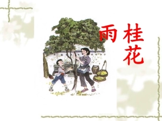 《桂花雨》课件