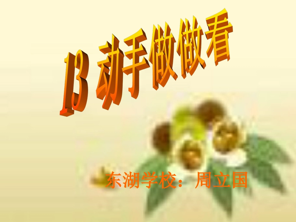 动手做做看PPT_第1页