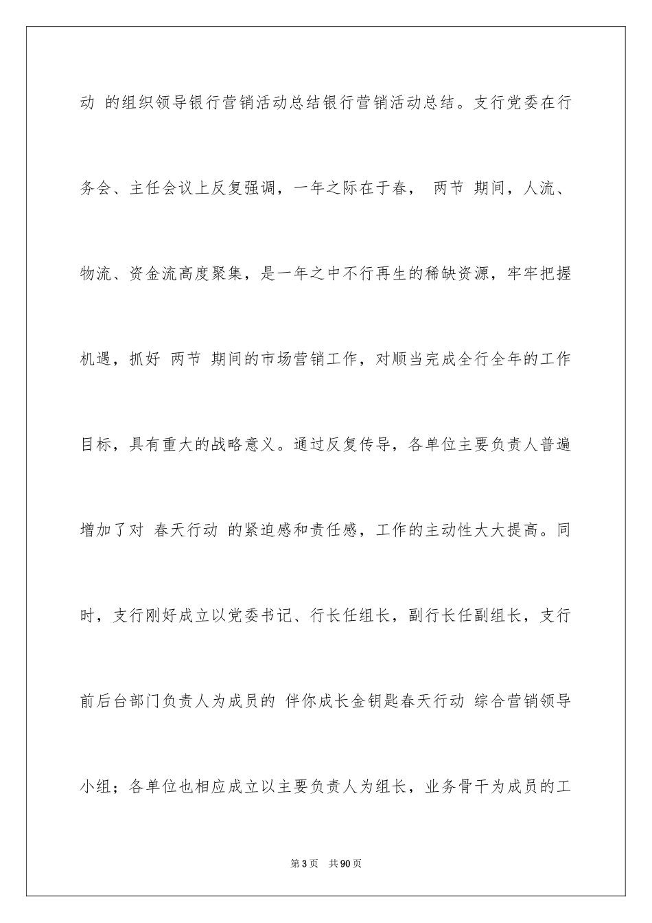 2024促销活动报告_1_第3页