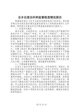 全乡自查自纠和监督检查情况报告