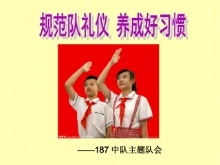 规范队礼仪养成好习惯