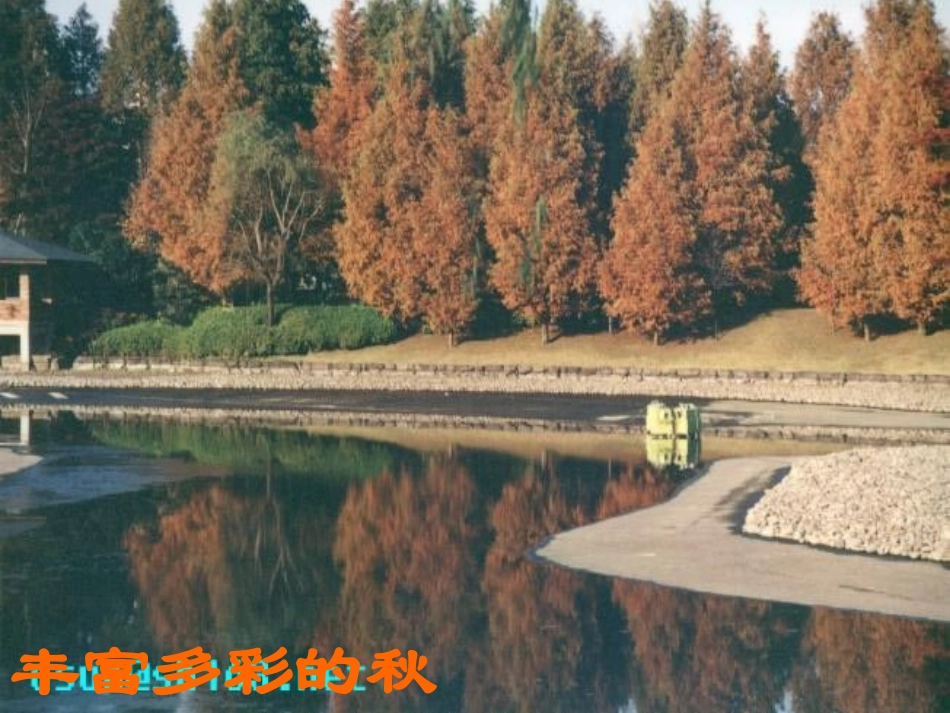故都的秋(上课)PPT_第3页