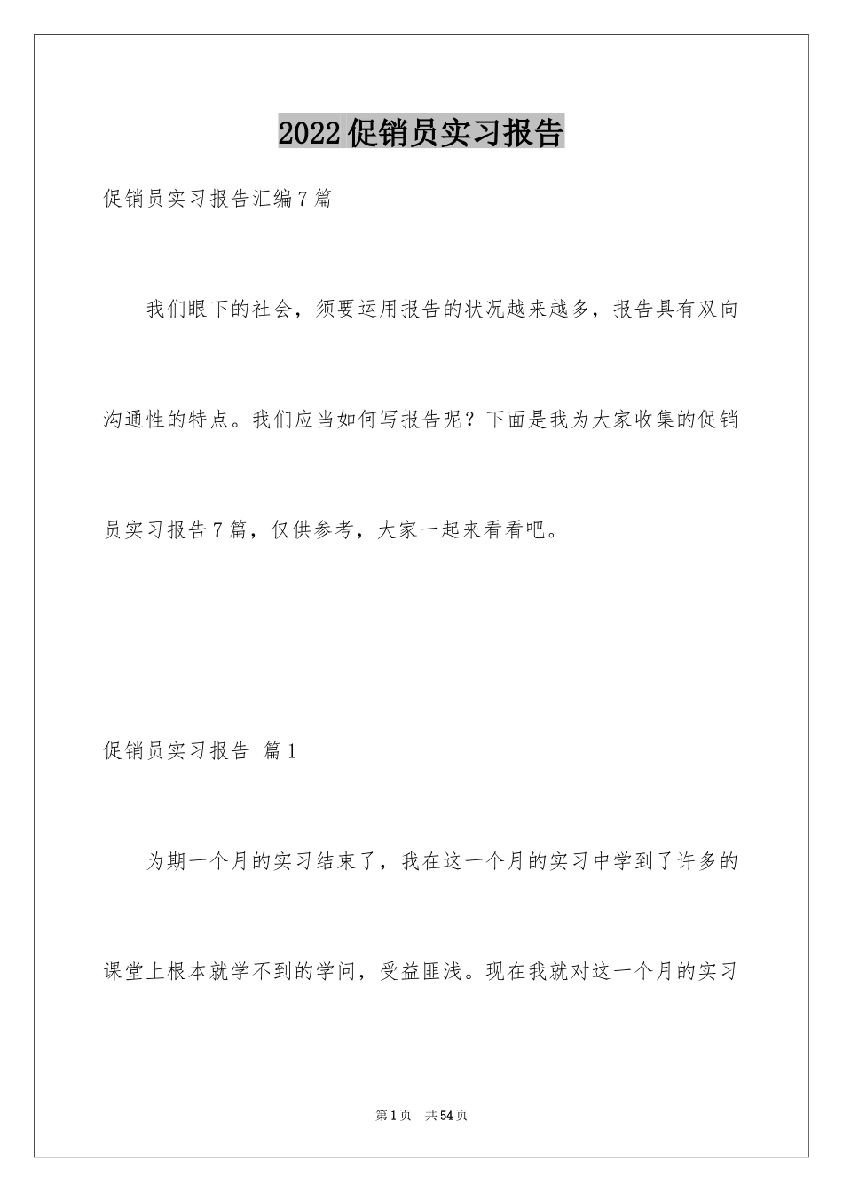 2024促销员实习报告_8_第1页