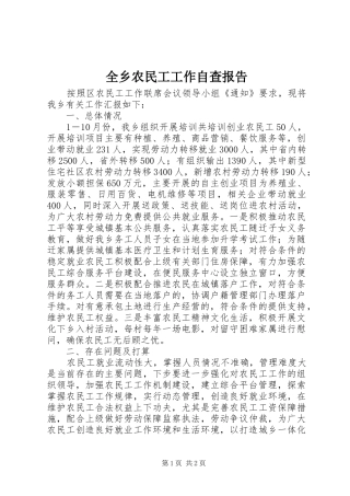 全乡农民工工作自查报告