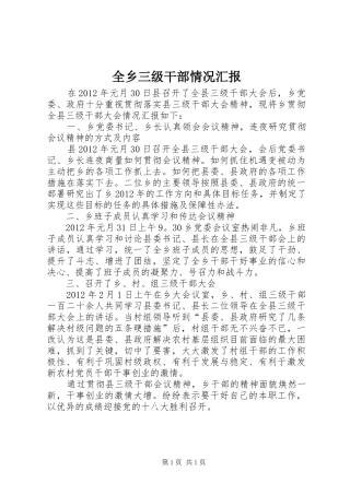 全乡三级干部情况汇报