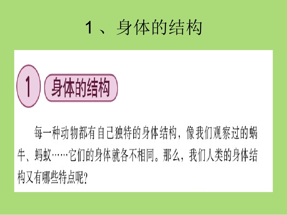 身体的结构课件_第3页