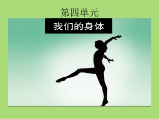 身体的结构课件