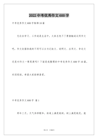 2024中考优秀作文600字_4