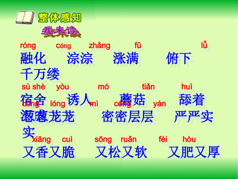 《美丽的小兴安岭》--生字词学习课件PPT (2)_第3页
