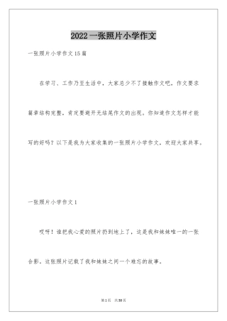 2024一张照片小学作文_3