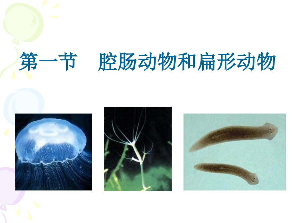 第一节腔肠动物和扁形动物_第1页
