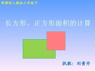 长方形、正方形的面积计算（njh)