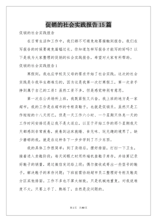 促销的社会实践报告15篇