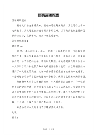 促销辞职报告