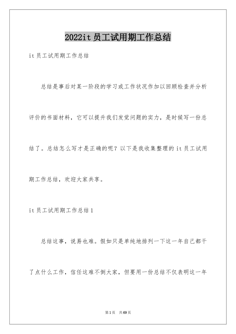 2024it员工试用期工作总结_1_第1页